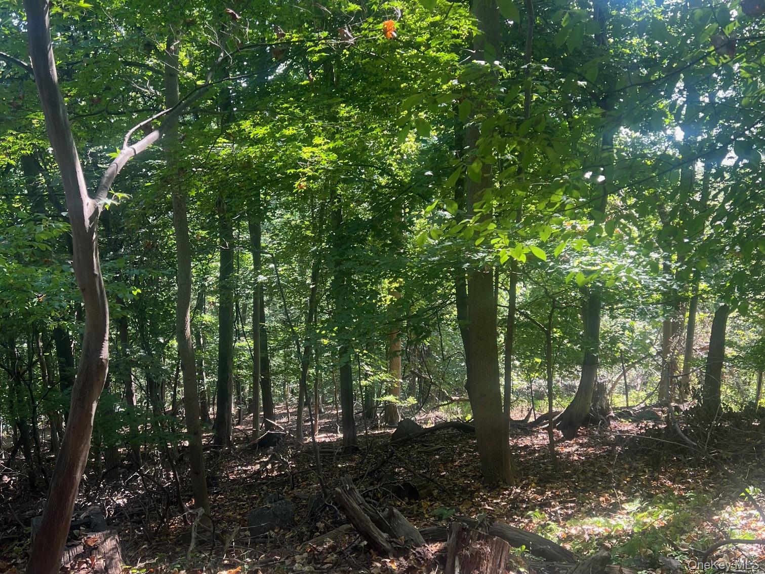 903 Rte 9W Nyack, NY 10960 - Photo 3 of 9 a backyard of a house with lots of green space