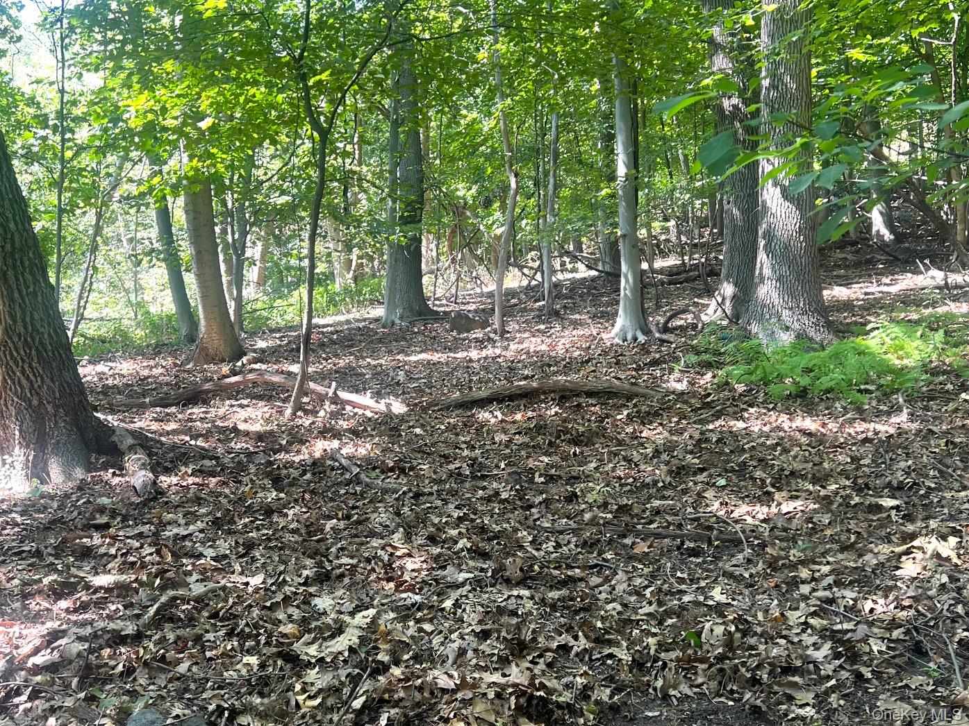 903 Rte 9W Nyack, NY 10960 - Photo 6 of 9 a backyard of a house with lots of green space
