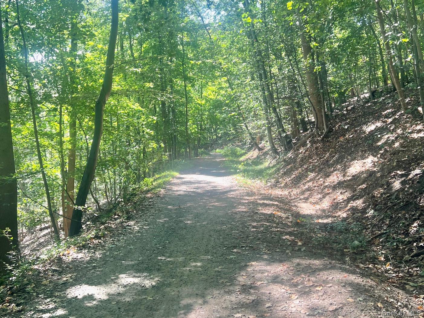 903 Rte 9W Nyack, NY 10960 - Photo 7 of 9 a backyard of a house with lots of green space