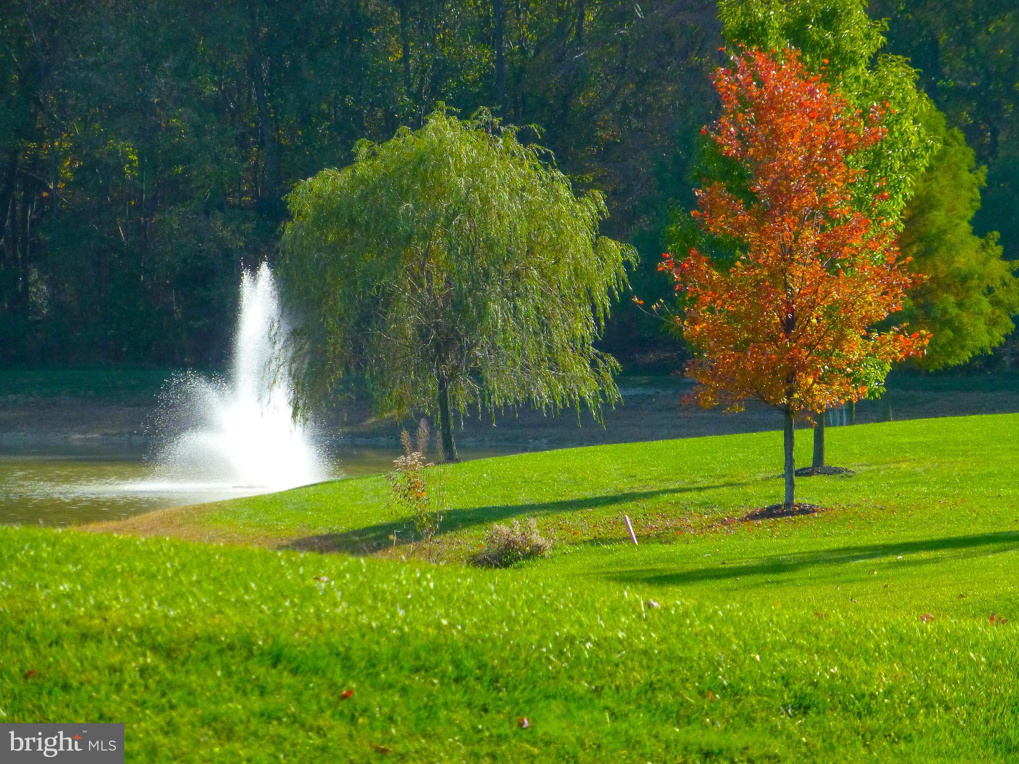 11 Harlequin Loop Bridgeville, DE 19933 - Photo 51 of 59