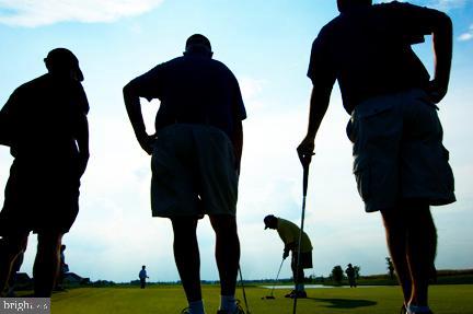 11 Harlequin Loop Bridgeville, DE 19933 - Photo 55 of 59