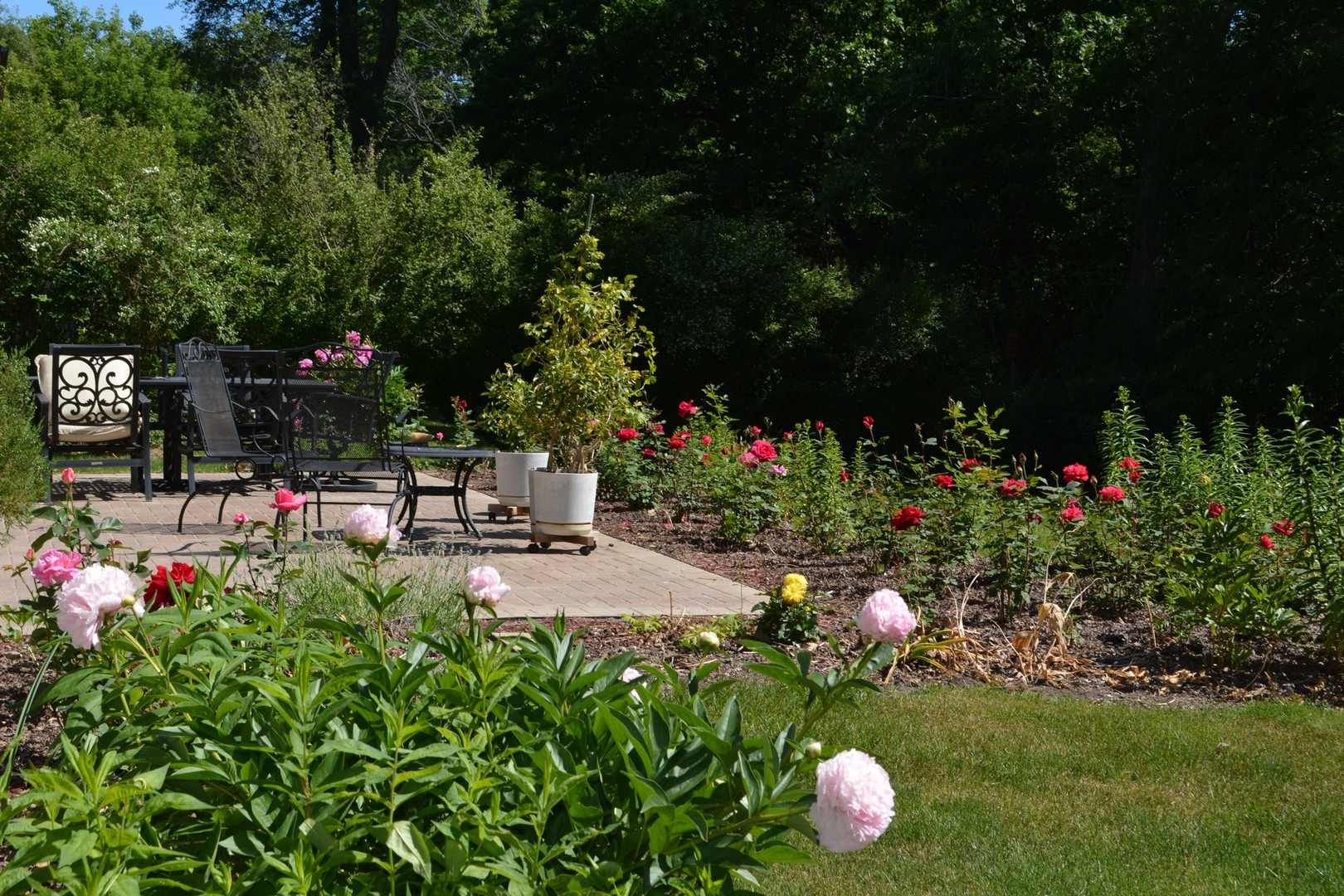 133 Ela Road Inverness, IL 60067 - Photo 22 of 32