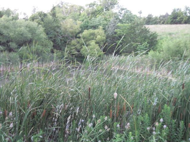 0 Baker Williams Road Corinth, KY 41010 - Photo 15 of 20 Gallery Image 15