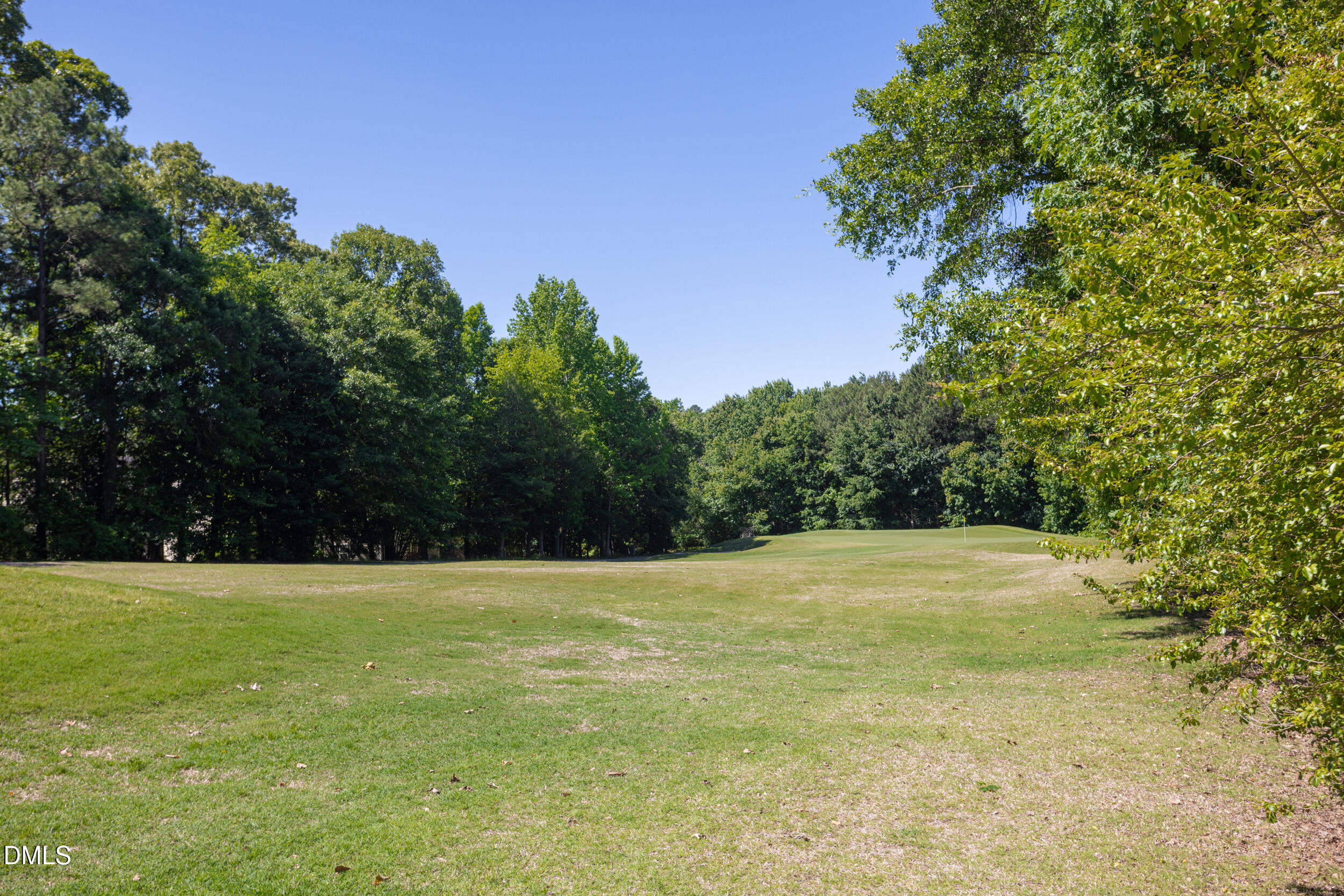 1920 Spanish Bay Court Raleigh, NC 27604 - Photo 36 of 38 34