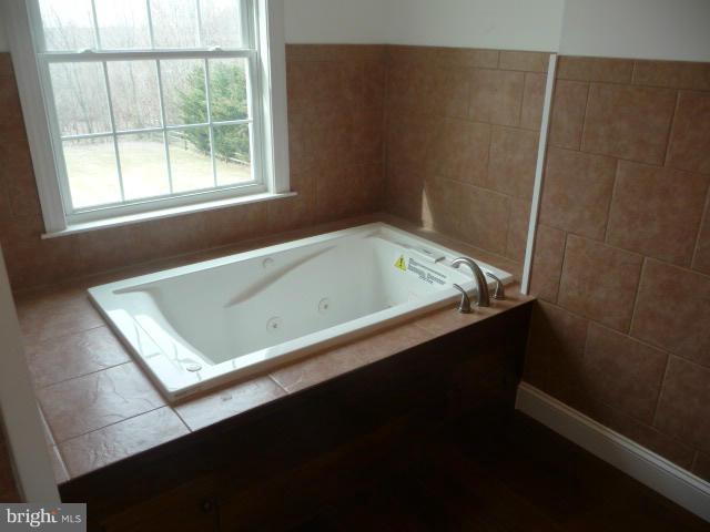 17197 Hardy Road Mount Airy, MD 21771 - Photo 28 of 30 Master Bath Tub