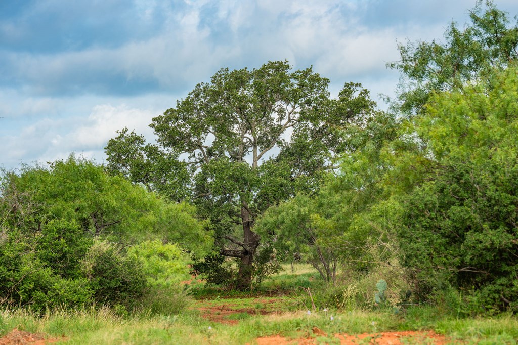 7602 County Road 113 Llano, TX 78643 - Photo 59 of 69