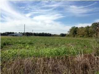 Tepetate Road Eunice, LA 70535 - Photo 1 of 3 Gallery Image 1