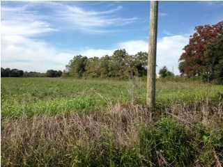 Tepetate Road Eunice, LA 70535 - Photo 2 of 3 Gallery Image 2