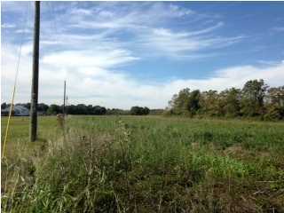Tepetate Road Eunice, LA 70535 - Photo 3 of 3 Gallery Image 3