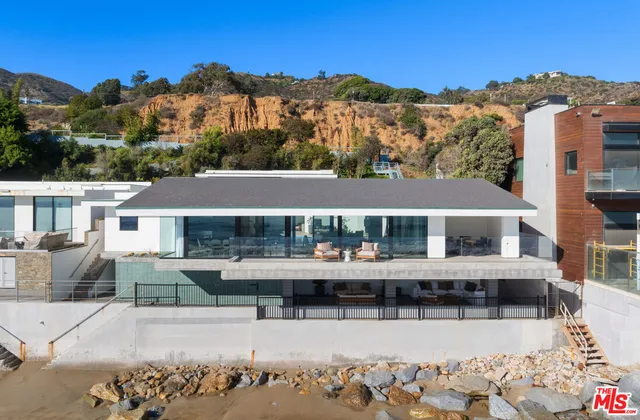 a potted plant sitting in front of a house