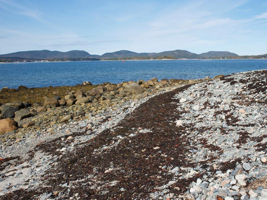 26 Ocean Road Cranberry Isles, ME 04625 - Photo 31 of 35 shoreline and mountain views