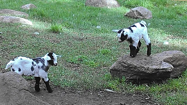 $125,000 | 2945 County Road 4 Southwest, Unit 118, Cokato, MN 55321