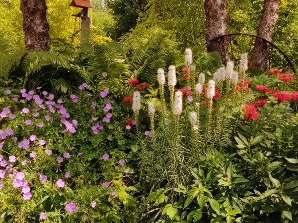 $125,000 | 2945 County Road 4 Southwest, Unit 118, Cokato, MN 55321