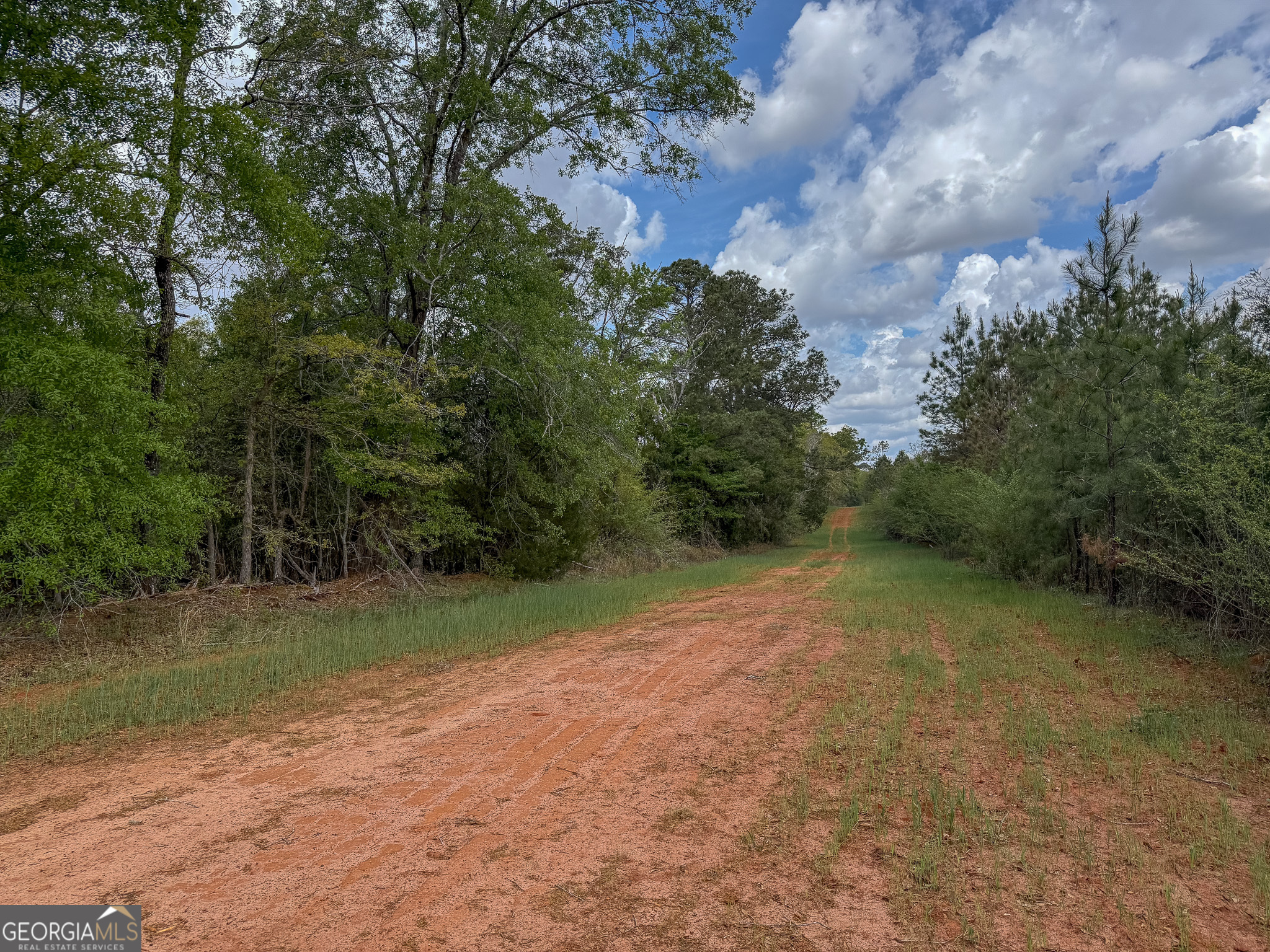 2 Harrell Road Parrott, GA 39877 - Photo 11 of 15