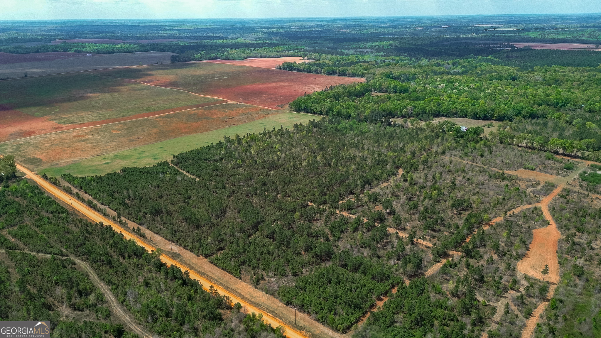 2 Harrell Road Parrott, GA 39877 - Photo 4 of 15