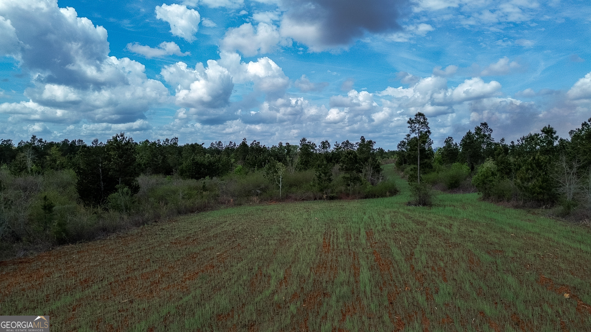 2 Harrell Road Parrott, GA 39877 - Photo 9 of 15
