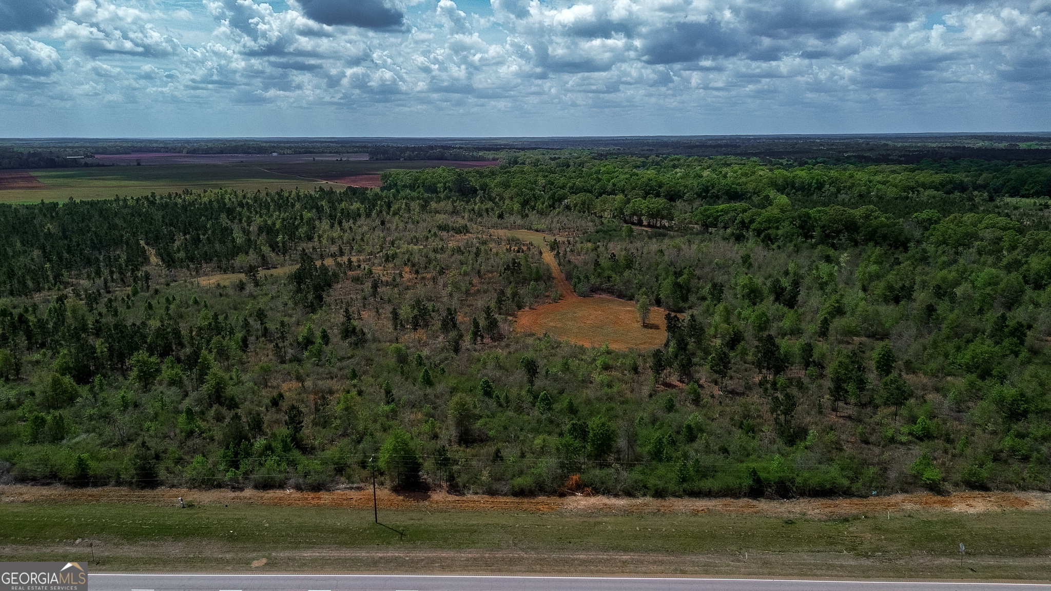 2 Harrell Road Parrott, GA 39877 - Photo 10 of 15