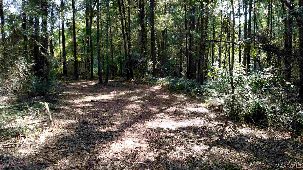 4701 Shellfield Road Enterprise, AL 36330 - Photo 18 of 33 Gallery Image 18