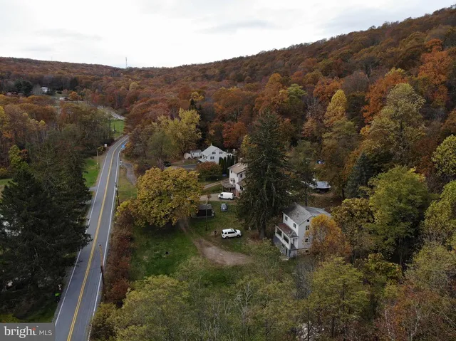 a view of a lake in middle of the forest