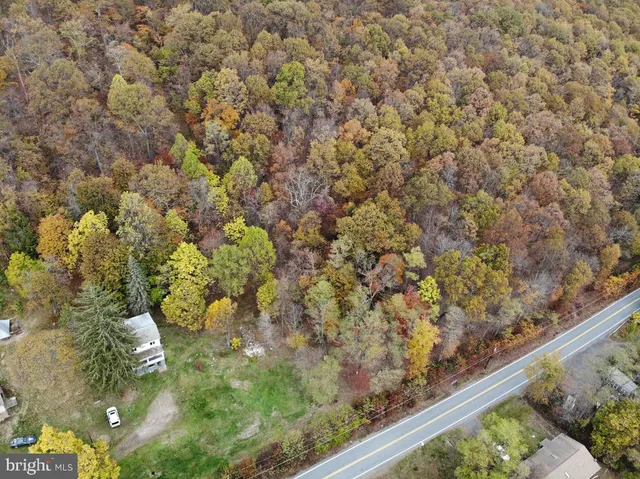 a view of a garden from a balcony