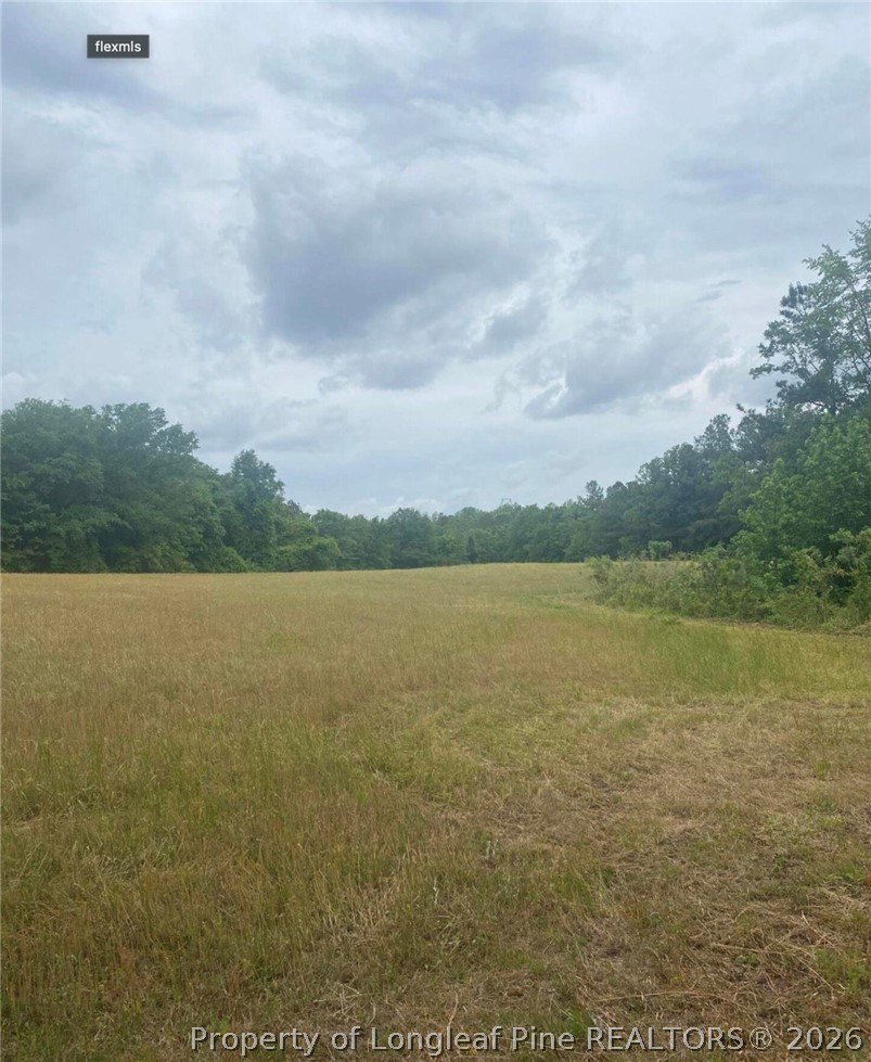490 Springhill Church Road Hamlet, NC 28345 - Photo 16 of 24 Gallery Image 16