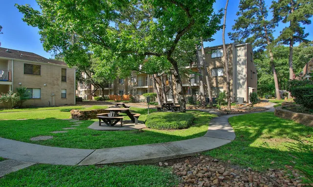 a view of a park with large trees