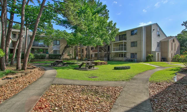 a view of a backyard with plants and large tree