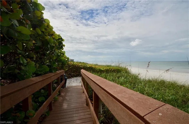 an outdoor space with plants