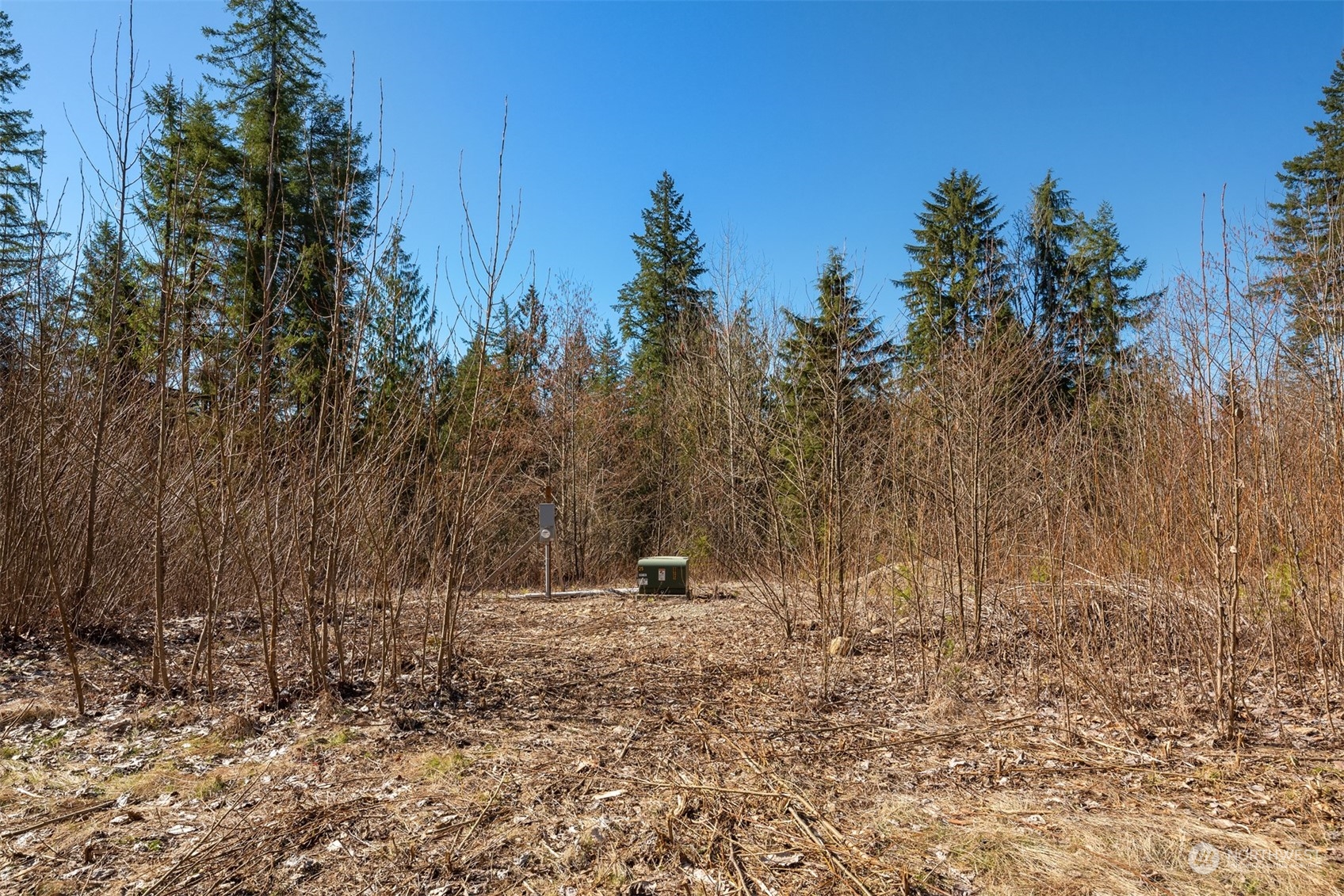 33800 Northeast N Fork Road Duvall, WA 98019 - Photo 11 of 25 Gallery Image 11