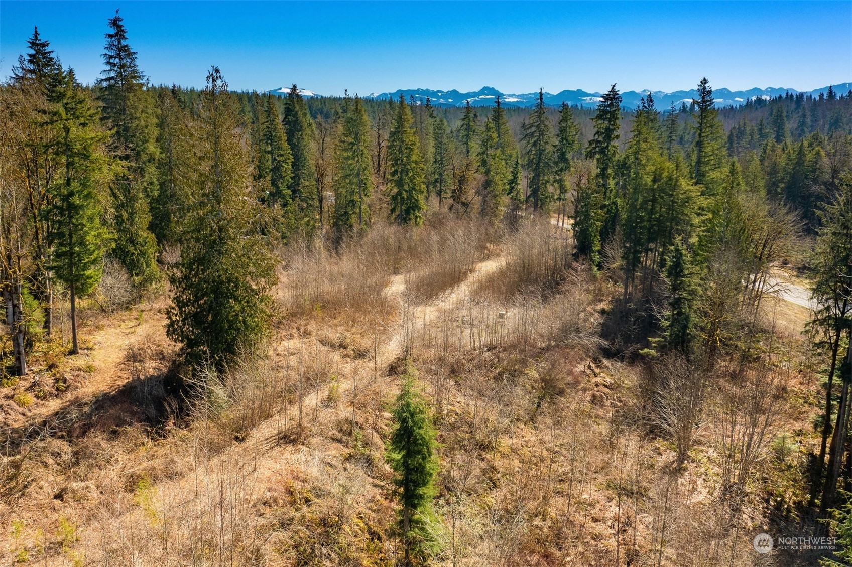 33800 Northeast N Fork Road Duvall, WA 98019 - Photo 23 of 25 Gallery Image 23