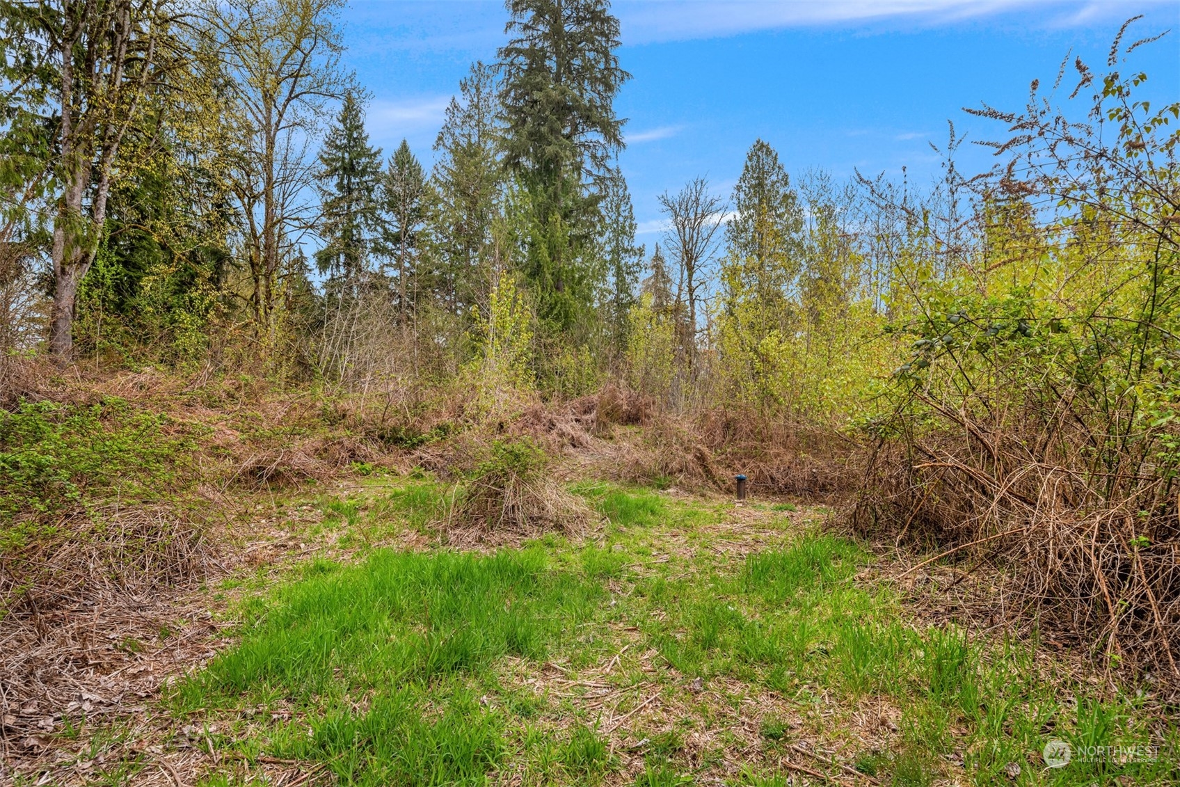 33800 Northeast N Fork Road Duvall, WA 98019 - Photo 5 of 25 Gallery Image 5