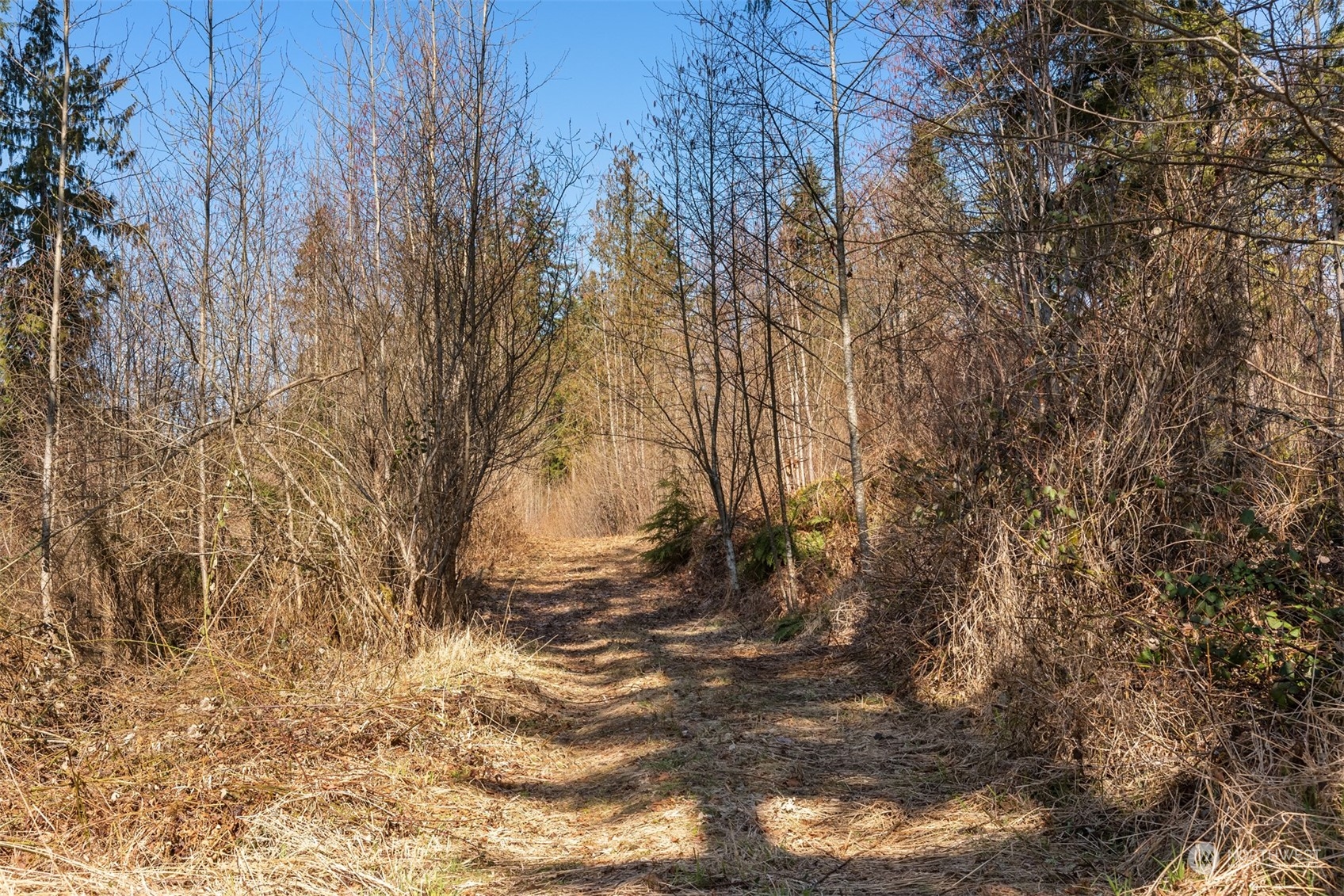 33800 Northeast N Fork Road Duvall, WA 98019 - Photo 10 of 25 Gallery Image 10