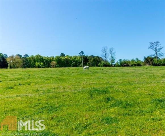 0 Smith Brock Road, Unit 17 3AC Monticello, GA 31064 - Photo 1 of 1 Gallery Image 1