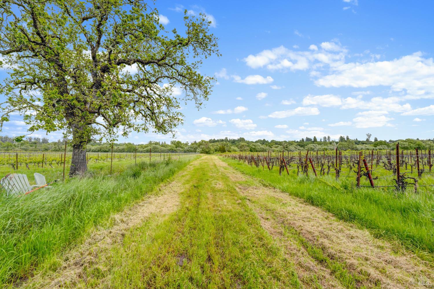 9700 Mill Station Road Sebastopol, CA 95472 - Photo 47 of 50