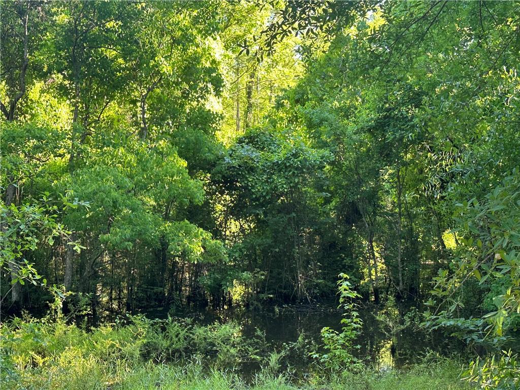 185 Bumble Bee Mound Road Bogalusa, LA 70427 - Photo 18 of 20 Gallery Image 18