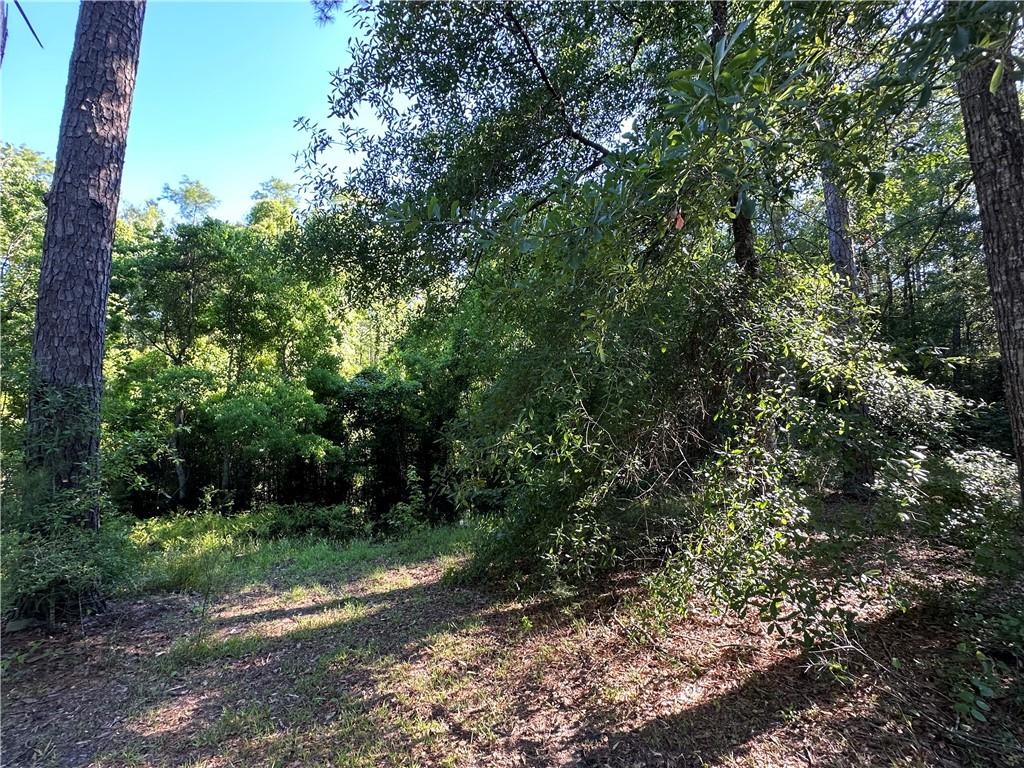 185 Bumble Bee Mound Road Bogalusa, LA 70427 - Photo 19 of 20 Gallery Image 19