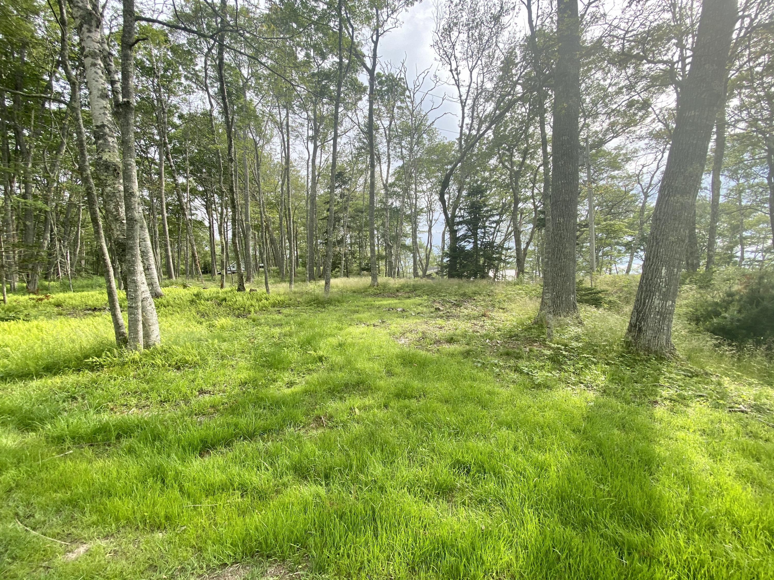606 Ocean Point Road East Boothbay, ME 04544 - Photo 12 of 12 606 Ocean Point Cleared Land