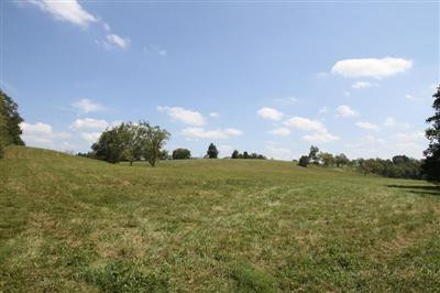 2344 Union Mill Road Nicholasville, KY 40356 - Photo 42 of 56 Photo 42