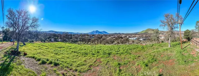 a view of a yard with a tree