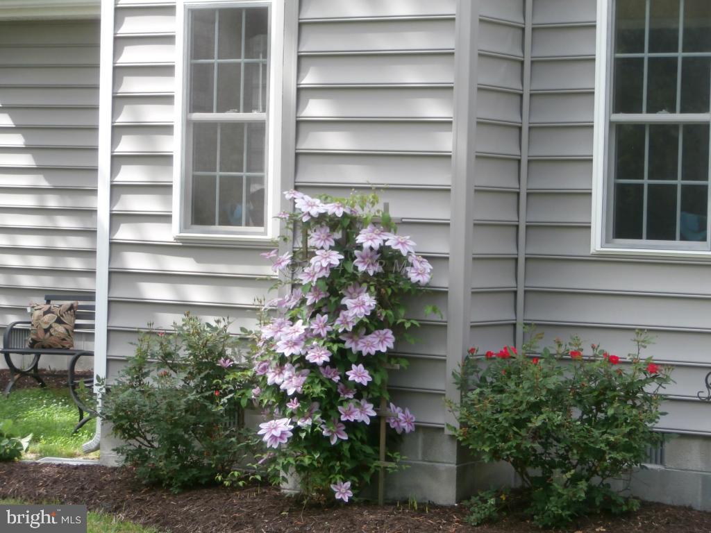 28991 Polks Road Princess Anne, MD 21853 - Photo 23 of 27
