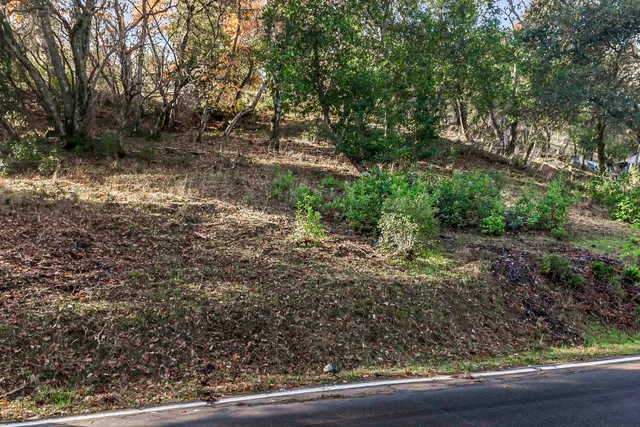 a view of a yard with a tree