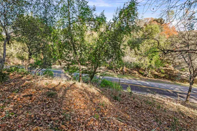 a view of a yard with large trees