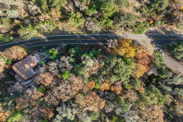 a view of a backyard with plants and a bench