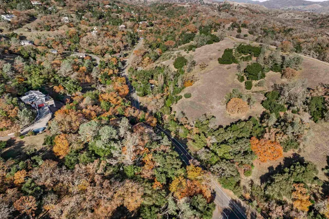 view of a yard with a tree