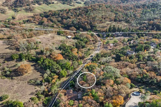 an aerial view of a house with a yard and large trees