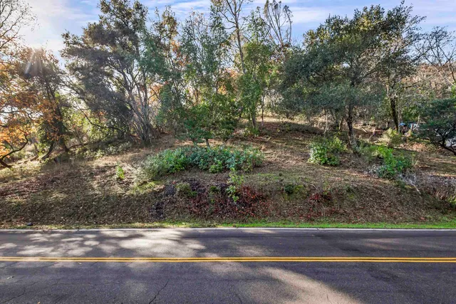 a view of a yard with large trees