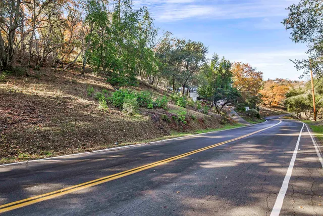 a view of a yard with street