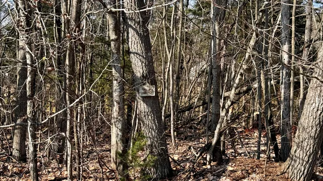 $18,500 | Lot 29 White Pine Drive, Cadillac, MI 49601