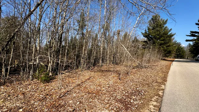 $18,500 | Lot 29 White Pine Drive, Cadillac, MI 49601