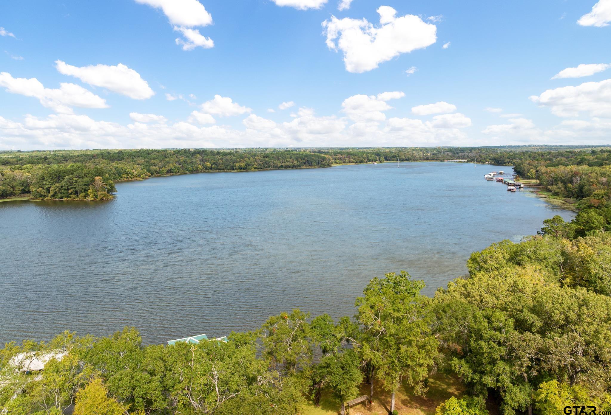 14851 East Ridge Road Arp, TX 75750 - Photo 46 of 46 a view of a lake